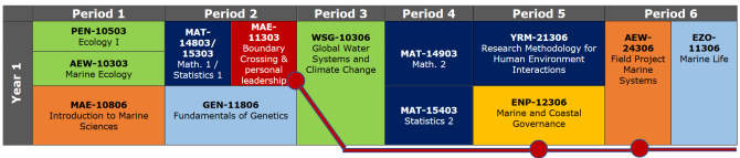 BMS year 1 schedule