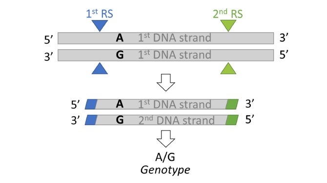 Figure_2_vf.jpg