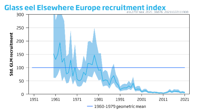 2. Glasaal die bij andere gebieden aankomt (‘Elsewhere Europe’) 