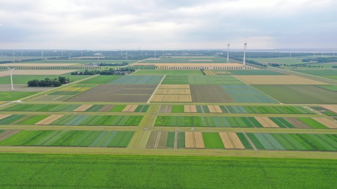 Luchtfoto Lelystad