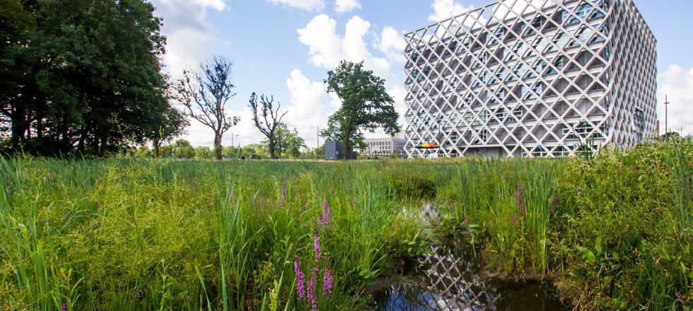 Wageningen Biodiversity Challenge - WUR