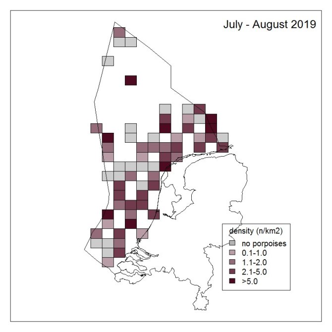 Uit: Geelhoed, S. C. V., Janinhoff, N., Lagerveld, S., & Verdaat, H. (2020). Marine mammal surveys in Dutch North Sea waters in 2019. (Wageningen Marine Research rapport; No. C016/20). Wageningen Marine Research. <L CODE="C06">https://doi.org/10.18174/515228</L>