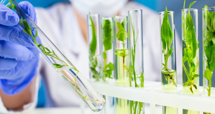 Opleidingen en Cursussen voor Professionals  Biotechnologie and Chemie 