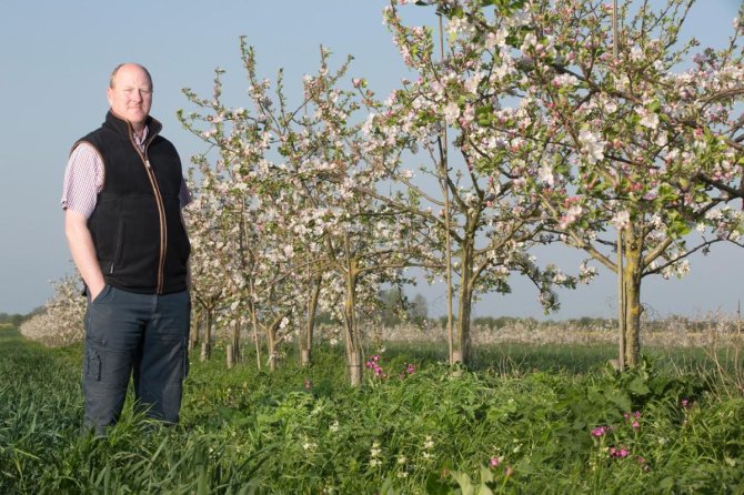 Agroforestry in Engeland