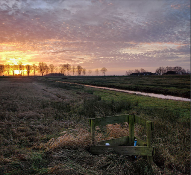 Meetlocatie voor de diepte van de grondwaterspiegel in Friesland. Foto: Paul Gerritsen.