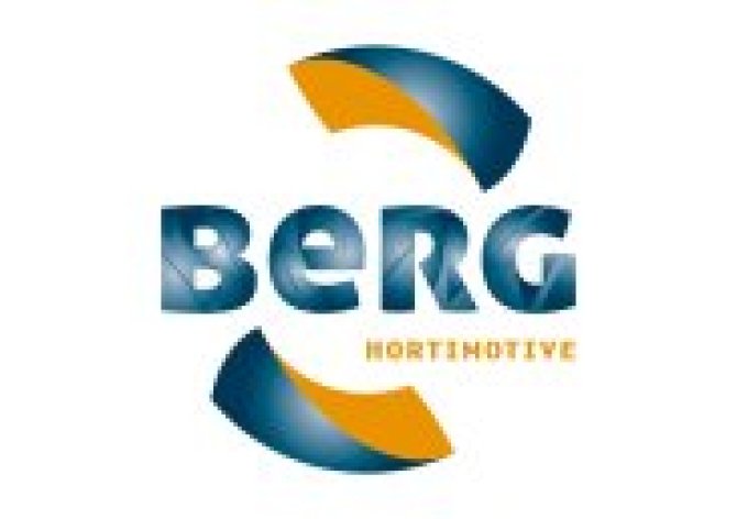 Berg