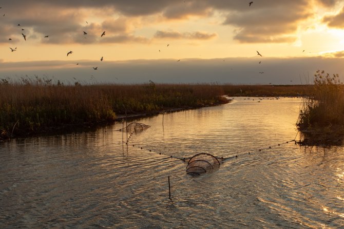 De fuiken bij zonsondergang (Foto: Joep de Leeuw)