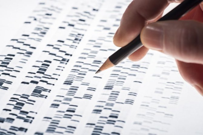 Web 72 DPI-shutterstock_251435335_dna_test.jpg