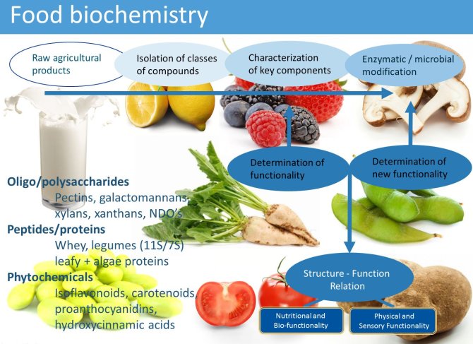 food chemistry research