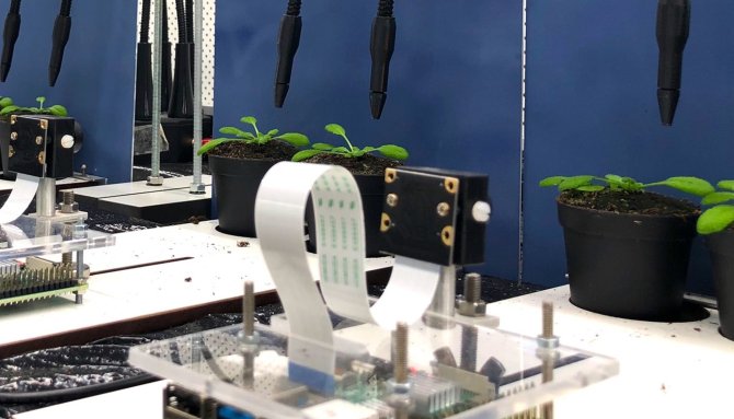 Raspberry Pi-based imaging system used to monitor the length growth and vertical movement of leaves in real time. Photo: Lisa Oskam.