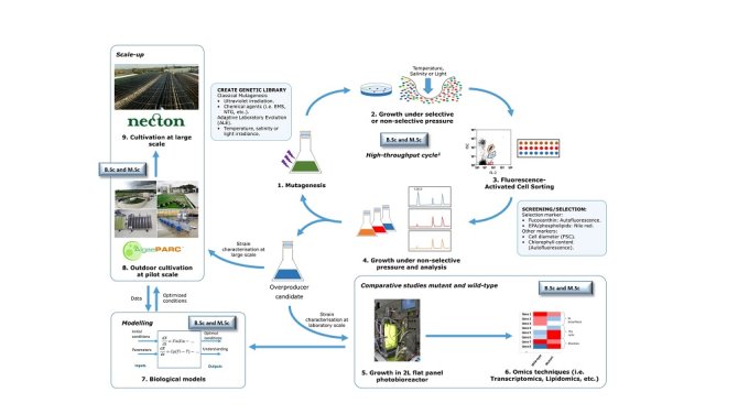 Figure 1. General overview of the proposed approach for this research (click to enlarge)