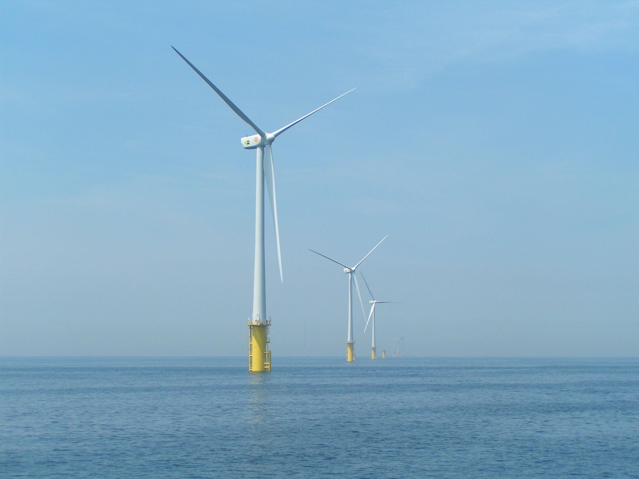 Offshore wind energy entails ecological risks, but also offers opportunities.