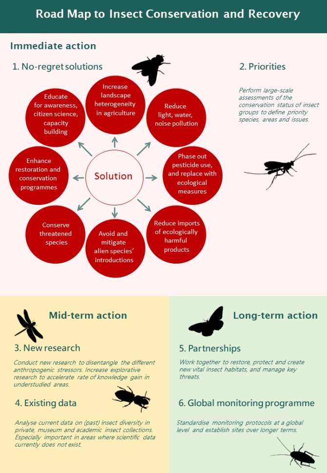 Road Map to insect conservation and recovery