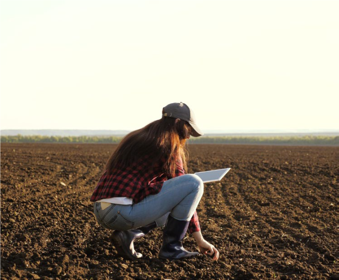 SQAPP allows farmers to check the soil’s quality, and receive recommendations for improvement. Photo: Shutterstock