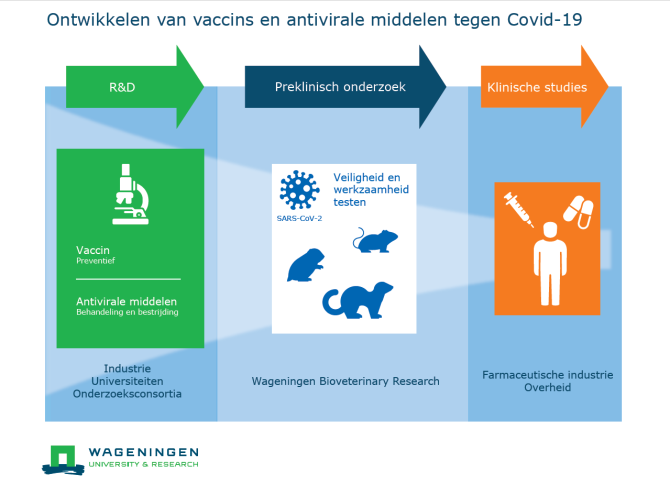 Coronavirus en COVID-19 - Ontwikkelen van vaccins en antivirale middelen