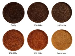 Figure: Baked mealworm paste is dark brown for fresh and 250-300 MPa, compared to light brown for 400-500 MPa and light brown for blanched treatment.