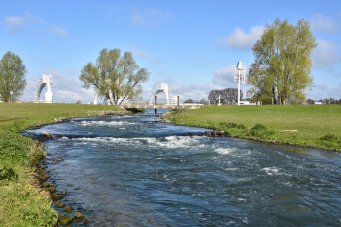 Vispassage bij Maurik in de Nederrrijn (credits: Tom Buijse)