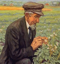Geert Veenhuizen, aardappelkweker die vooropliep met het kruisen van aardappelrassen (1857-1930)