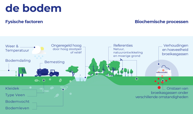 Kenmerken van het veenweidegebied en biochemische processen. (STOWA)