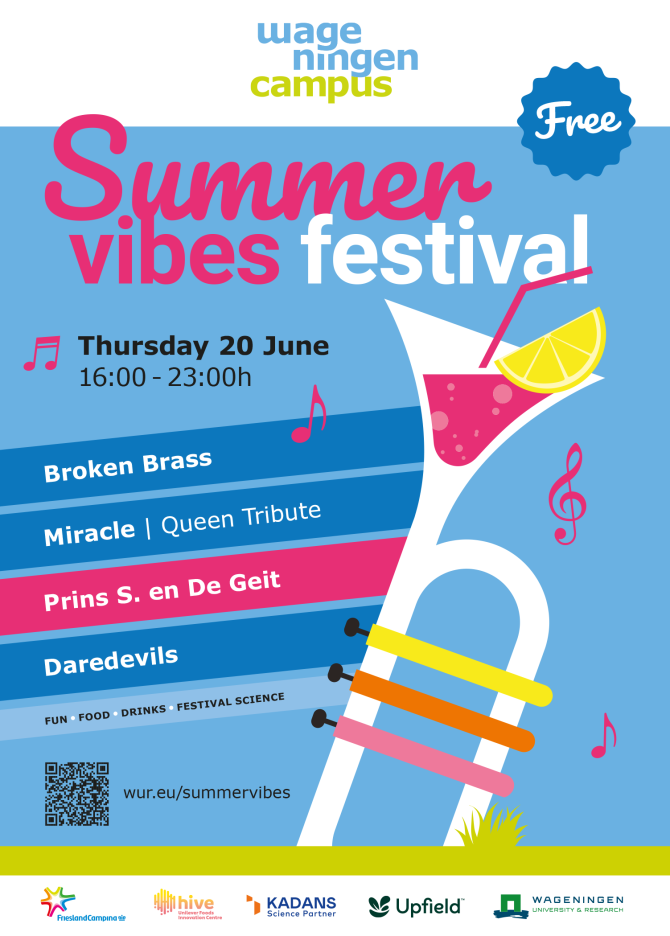 Poster - Summervibes Festival 2024