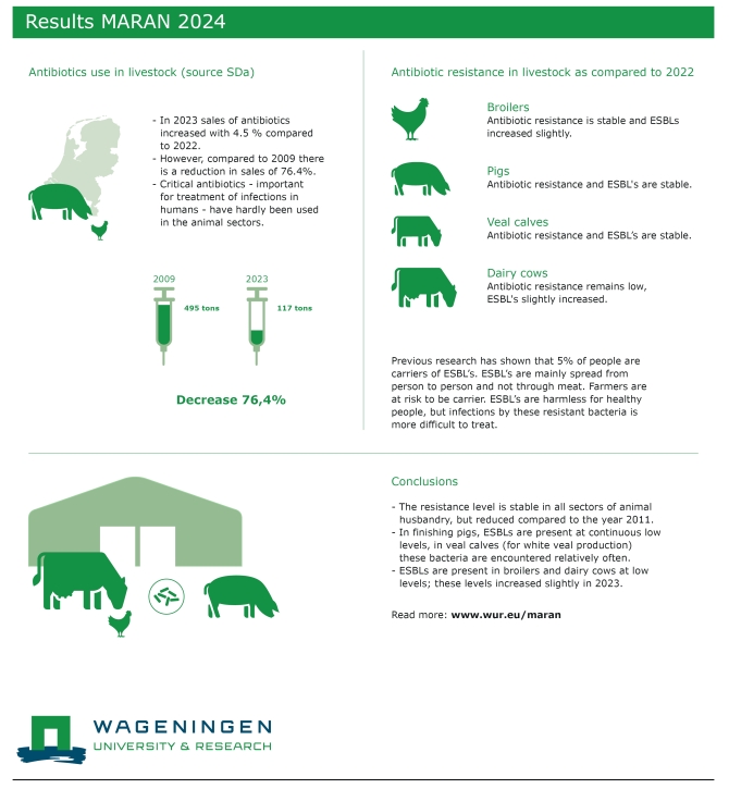 uitsnede_Infographic_Maran_2024_UK_LR.png