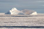 Iceberg with many hundreds of Chinstrap Penguins.