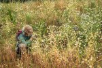 Biodiversity Challenge (Foto Guy Ackermans)