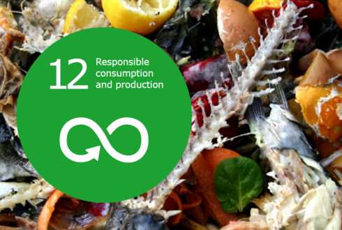 12.Responsible Consumption And Production - WUR