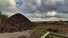 Aschener Moor (Duitsland). Foto: Roy van Beek