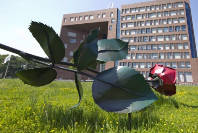 Het kunstwerk Een roos van staal van Rob Logister & Marie Raemakers staat op de campus bij gebouw Forum. Meer info: <L CODE="C10">Kunstroute Wageningen Campus</L>. Foto: WUR