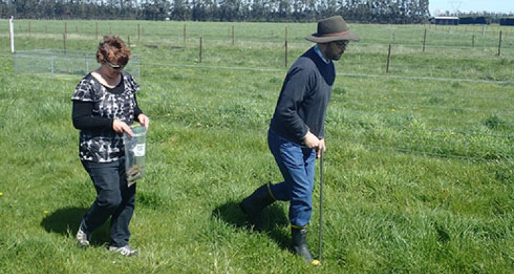 Soil sampling - WUR