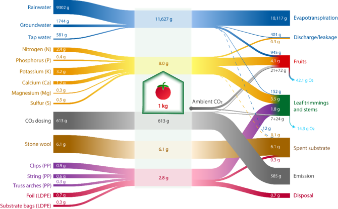 Material flow diagram of water, fertilisers, CO2, substrate and plastics for a tomato crop in the Netherlands. NB; within 1 type of material flow, the size of different flows can be compared. For example, it can be seen that of the fertilisers, potassium is used the most and magnesium the least. The size of flows cannot be compared between different material flows. This visualization method was chosen because water is by far the largest flow, so that the other material flows should be depicted negligibly small. Source: Van Tuyll, Boedijn et al. (2022)