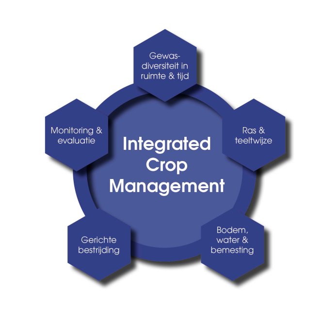 Integrated Crop Management - ICM