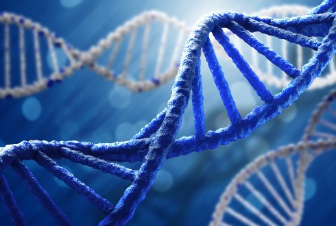 Risultati immagini per DNA