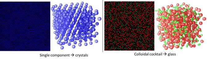 Left: Highly charged and monodisperse colloids form crystals, shown in a confocal microscopy image and a computer-generated rendering of its 3D structure. Right: By contrast, mixtures of charged colloids of two different sizes (red = large particles, green = small particles) form amorphous phases, called glasses.