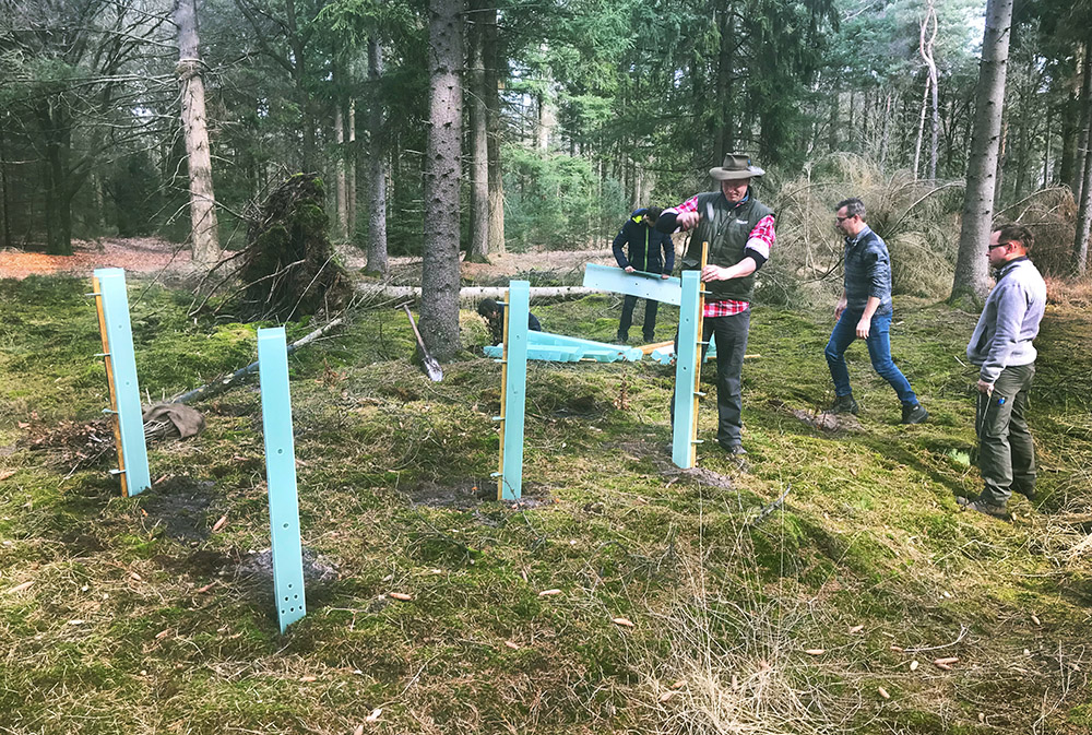 Planting new trees and forests improves an area’s resilience. Photo: Marijn Flipse