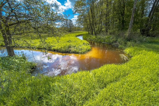 Beekdal van de Drentsche Aa