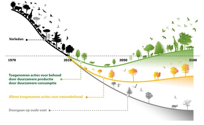 Zwart: De historische biodiversiteitsverliescurve vóór 2010. Groen:          Verlies met inspanning door duurzamere productie en duurzamere consumptie  Oranje:         Verlies zonder duurzamere productie en consumptie  Grijs:           Verlies als we op huidige voet verder gaan  De illustratie toont de belangrijkste bevindingen uit het Nature-artikel, maar geeft geen exacte resultaten weer.