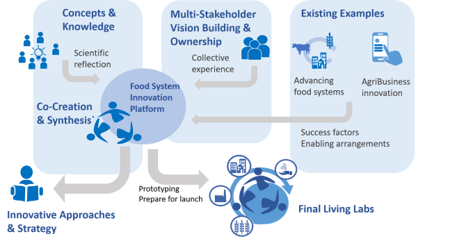 Information flow throughout the project