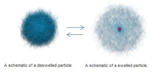 Left: Core-shell particles. The core is prepared from polystyrene (PS), while the shell consists of a crosslinked poly(N-isopropylacrylamide-co-acrylic acid) (PNIPAM-co-AAc) polymer hydrogel. Right: Confocal image of an oil-in-water emulsions stabilised by polystyrene particles.