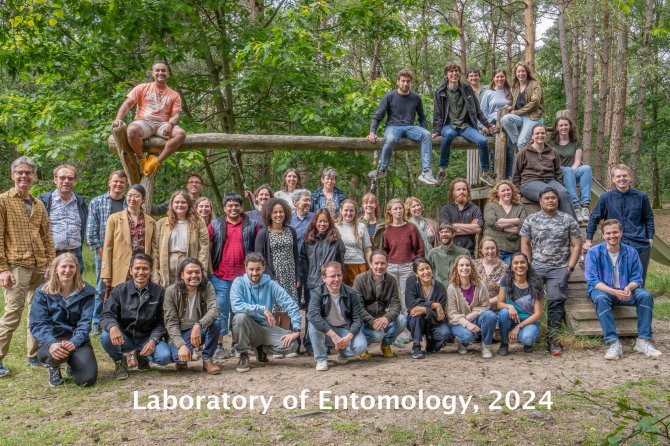 Entomology group 2024 web.jpg