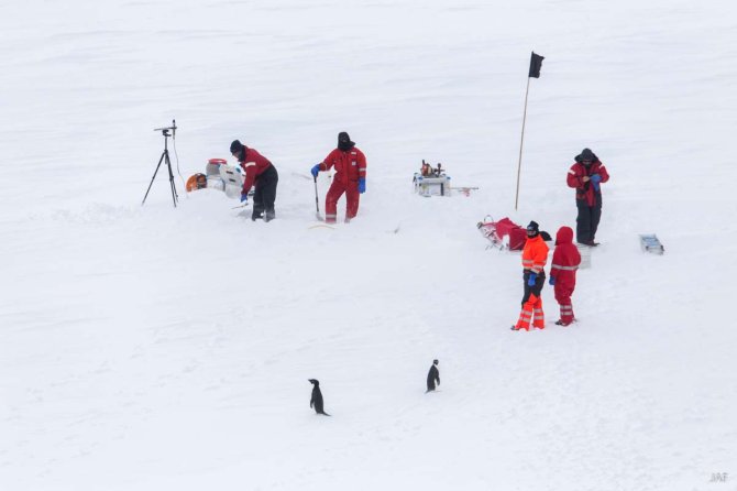 Two Adélie Penguins inspect the ICEFLUX team working on the fast ice (left to right: André, Julia, Fokje, Giulia, Bram)