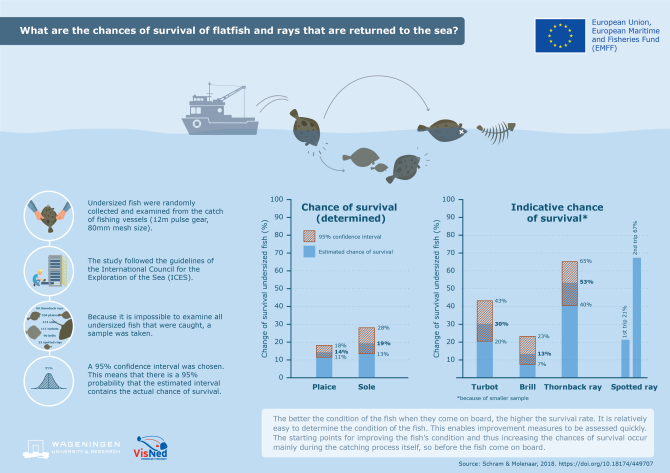 Infographic_survivalfish_chances_embedded_UK_def.png