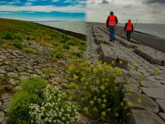 Afsluitdijk