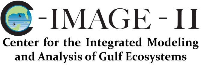 cimageII_logo.png