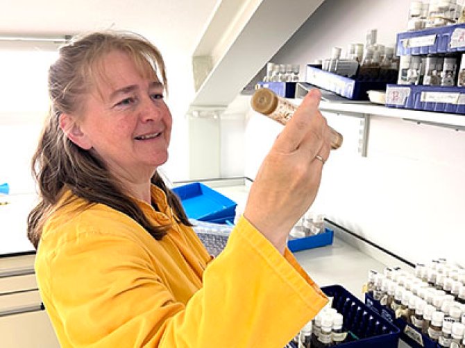 Professor Bregje Wertheim, here photographed in the Fly lab, is our new chairholder per September 2024. Read more about <L CODE="C20">her research</L>