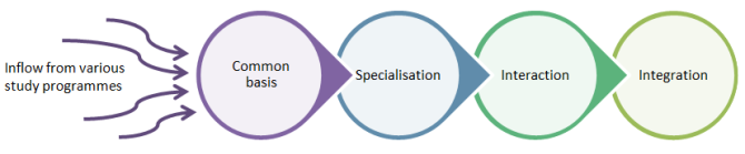 Schematic outline MAM programme