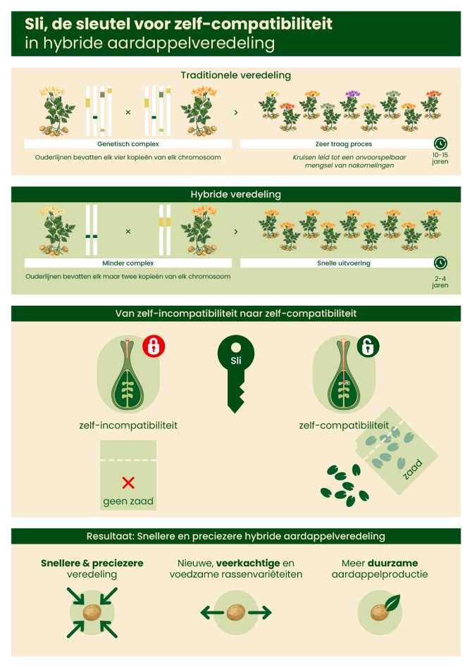 Infographic Sli-gene_NL_screen.jpg