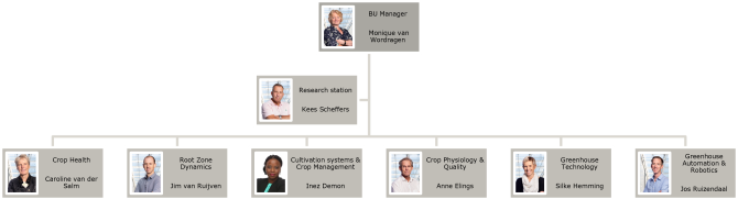 Organogram Business Unit Glastuinbouw