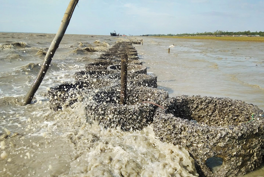 Oyster reefs are a nature-inclusive way of protecting coastlines.